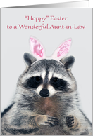 Easter to Aunt-in-Law, a cute raccoon with bunny ears on gray card