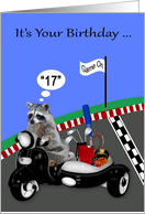 17th Birthday with an Adorable Raccoon Driving a Scooter and Side Car card