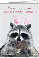 Invitations, Easter Family Reunion, cute raccoon wearing bunny ears card