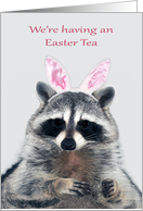 Invitations, Easter Tea, an adorable raccoon wearing bunny ears, gray card