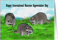 International Raccoon Appreciation Day, October 1st, general card