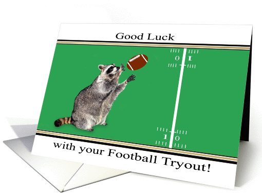 Good Luck, Tryouts, Football, general, cute raccoon... (1432108)