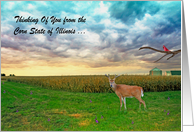 Thinking of you from Illinois, across the miles, harvest time, USA card