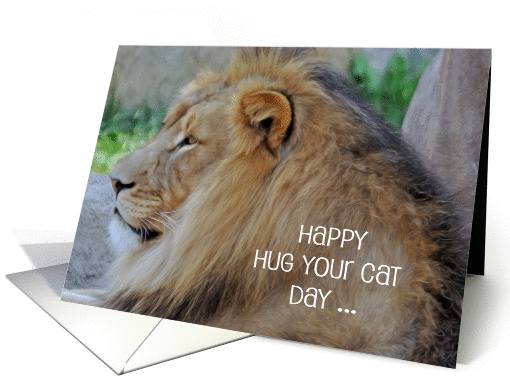 Hug Your Cat Day, June 4th, humor, general, a beautiful... (1442904)