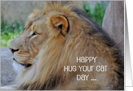 Hug Your Cat Day, June 4th, humor, general, a beautiful lion on a rock card