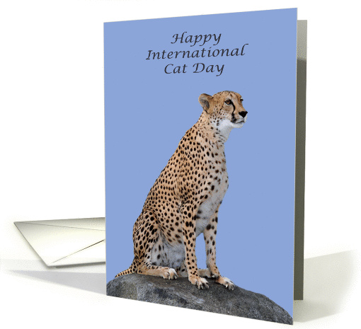 International Cat Day, August 8th, general, a beautiful cheetah card