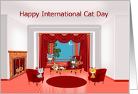 International Cat...