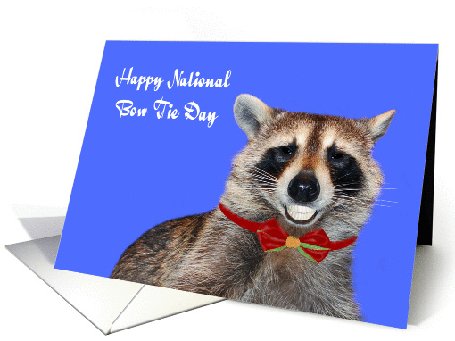 National Bow Tie Day, August 28th, general, raccoon... (1449184)