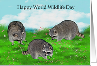 World Wildlife Day, March 3rd, general, raccoons with dragonflies card