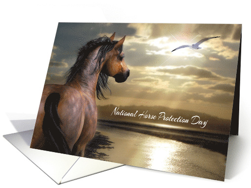 National Horse Protection Day, March 1st, general, horse... (1469542)
