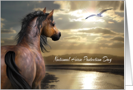 National Horse Protection Day, March 1st, general, horse and seagull card