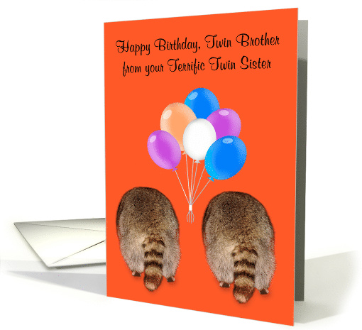 Birthday to Twin Brother from Twin Sister with Cute Raccoon Butts card