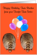 Birthday to Twin Brother from Twin Sister with Cute Raccoon Butts card