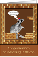 Congratulations on becoming Mason, cute raccoon building a brick wall card