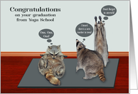 Congratulations to Yoga School Graduate with Raccoons Doing Yoga card