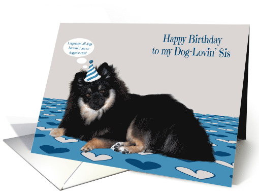 Birthday to Sister with a Pomerian Wearing a Birthday Party Hat card