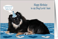 Birthday to Aunt, dog lover, Pomerian wearing a birthday hat, blue card