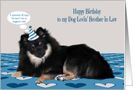 Birthday to Brother in Law Card with a Pomeranian Wearing a Hat card