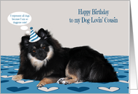 Birthday to Cousin, dog lover, Pomerian wearing a birthday hat on gray card