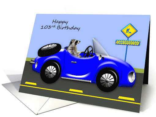103rd Birthday, age humor, adorable raccoon driving blue... (1485324)