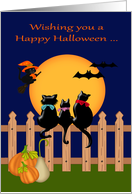 Halloween while Away at College with Three cats Gazing at a Full Moon card