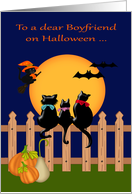 Halloween to boyfriend away at college, three cats gazing, moon card