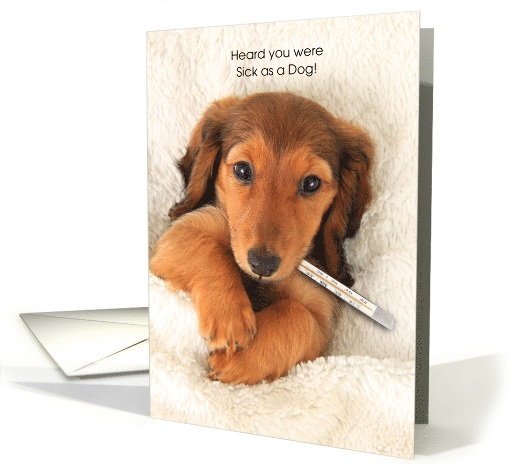 Get Well Soon Sick as a Dog a Dog with a Thermometer in bed card