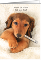 Get Well Soon Sick as a Dog a Dog with a Thermometer in bed card