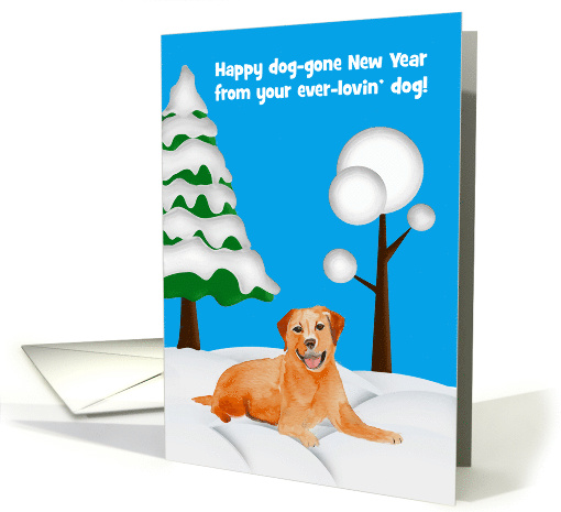 New Year's from the dog, general, Golden Labrador in the... (1507084)