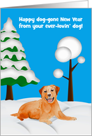 New Year’s from the dog, general, Golden Labrador in the snow, trees card