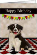 Birthday with a Border Collie with Colorful Fags Over its Cute Head card