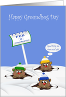 Groundhog Day with a Cute Groundhogs Wearing Winter Hats in Snow card