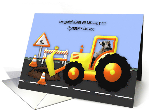 Congratulations on Operator's License, bulldozer, raccoon... (1524640)
