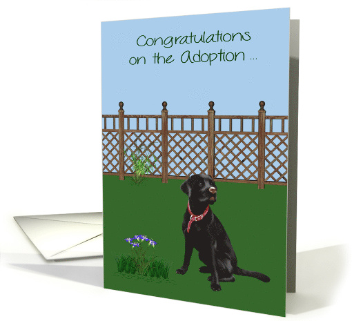 Congratulations On Adoption of a Black Labrador with a... (1529414)