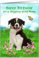 Birthday to Mom Card with a Border Collie Sitting in a Flower Meadow card