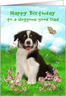 Birthday to Dad with a Border Collie Sitting in a Pretty Flower Meadow card
