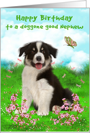 Birthday to Nephew, A cute border collie sitting in a flower meadow card