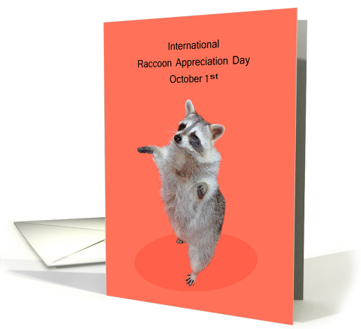 International Raccoon Appreciation Day Observed on October 1st card