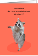 International Raccoon Appreciation Day Observed on October 1st card