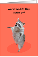 World Wildlife Day, Observed on March 3rd, Raccoon on living coral card