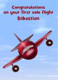 Congratulations on First Solo Airplane Flight Custom Name with Raccoon