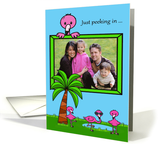 Birthday Photo Card General Pink Flamingos with Trees and Water card