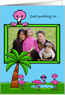 Birthday Photo Card General Pink Flamingos with Trees and Water card