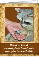 Protect and Save Wildlife with a Hand in Hand Social Message card