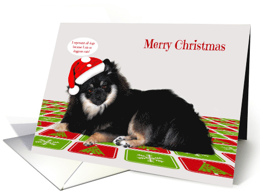 Christmas with a Cute Pomeranian Wearing a Santa Claus Hat card