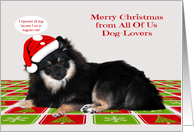 Christmas from All Of Us Dog-Lovers with a Pomeranian Wearing a Hat card