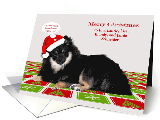 Christmas Custom Name For with a Pomeranian Wearing a Hat card