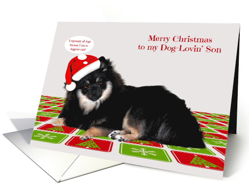 Christmas to my Dog-Lovin' Son with a Pomeranian Wearing a Hat card