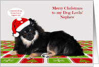 Christmas to my Dog-Lovin’ Nephew with a Pomeranian Wearing a Hat card