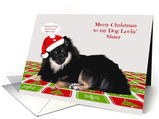 Christmas to my Dog Lovin' Sister with a Pomeranian Wearing a Hat card